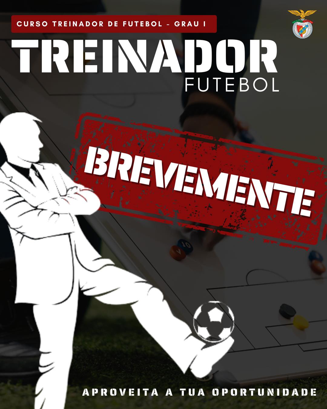 Curso Treinador Grau I SAB